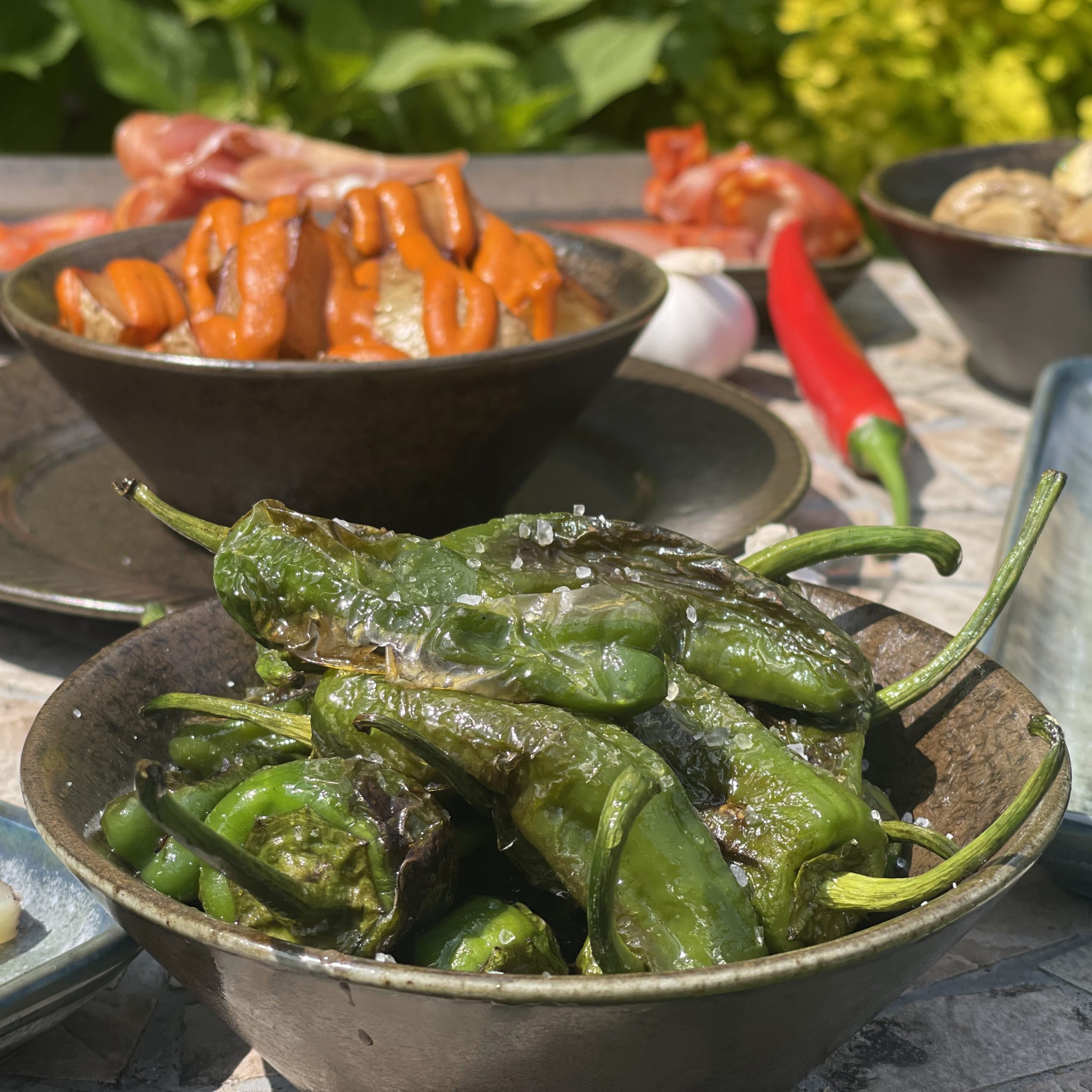 Pimientos de padron sq Pimientos de padron