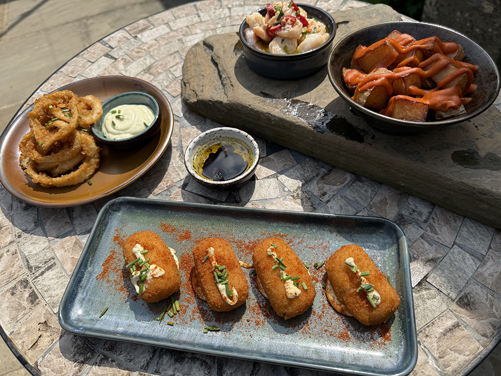 tapas selection tapas selection